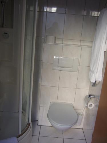 La salle de bains est pourvue d'une douche et de toilettes. dans l'établissement Gasthaus zur Sonne, à Aesch