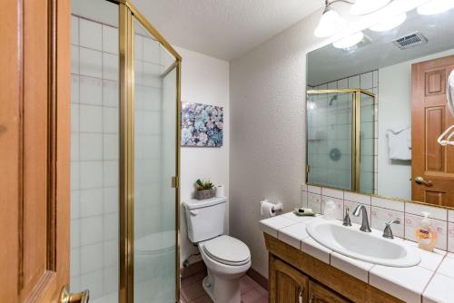 W łazience znajduje się toaleta, umywalka i lustro. w obiekcie Spring Wonderland w mieście Yosemite West