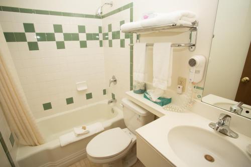 y baño con aseo, lavabo y bañera. en Cristiana Guesthaus, en Crested Butte