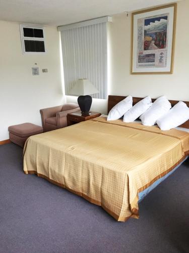 Un pat sau paturi într-o cameră la Village Motel