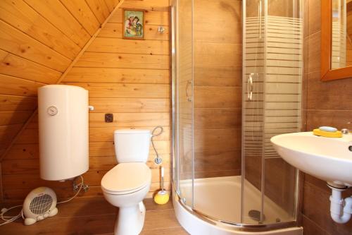 a bathroom with a shower and a toilet and a sink at Apartament u Wolskich in Krościenko