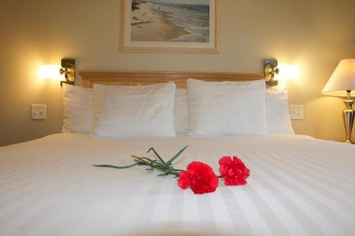 Una cama o camas en una habitación de Rum Runner Inn