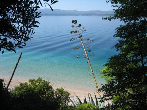 Imagen de la galería de Villa Lipa Dora, en Murvica