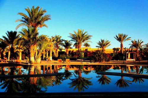 a reflection of palm trees in a pool of water at Belere Arfoud in Erfoud