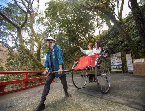 a man pulling a horse drawn carriage with a woman at Balinese onsen ryokan Hakone Airu in Hakone