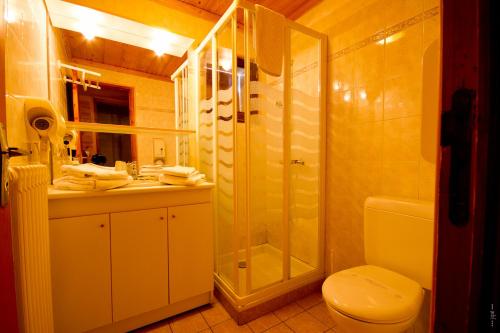 a bathroom with a shower and a toilet and a sink at La Mollinière in Notre-Dame-de-Bellecombe