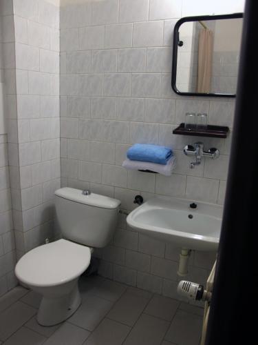 a bathroom with a toilet and a sink at Hotel Olga in Prague
