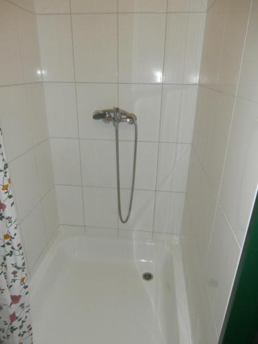 y baño con ducha con cabezal de ducha. en Penzion Zemanův Dvůr, en Božanov