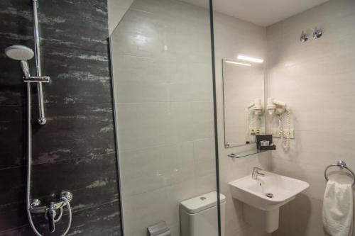 a bathroom with a shower and a toilet and a sink at Hotel Los Cigarrales in Toledo