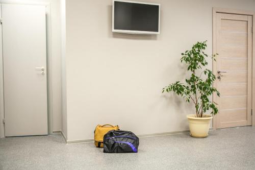 a backpack and a plant in a room with a tv at Хостелы Рус -Новосибирск in Novosibirsk