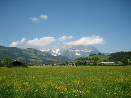 a field of grass with mountains in the background at Landhaus Feller in Reith bei Kitzbühel