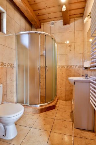 a bathroom with a shower and a toilet and a sink at Domki w Istebnej in Istebna