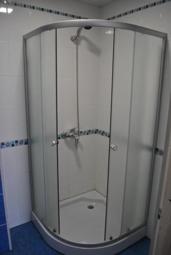 a shower with a glass door in a bathroom at Hotel Elegia in Trostyanets