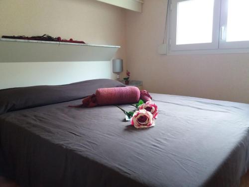 Cama o camas de una habitación en Camping Serra