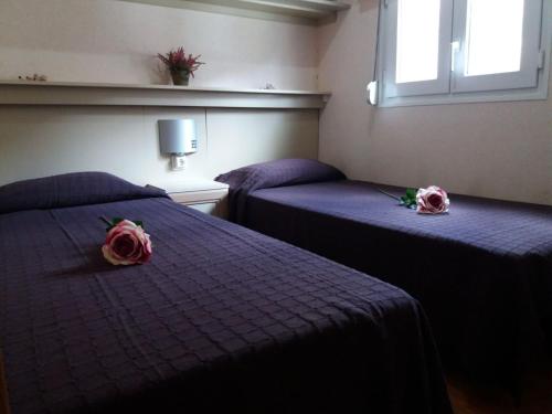 Cama o camas de una habitación en Camping Serra