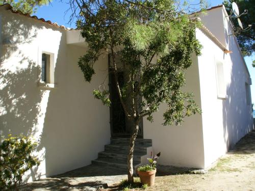una casa bianca con scale e un albero di Attractive Villa in Moriani Plage at Sea a San-Nicolao