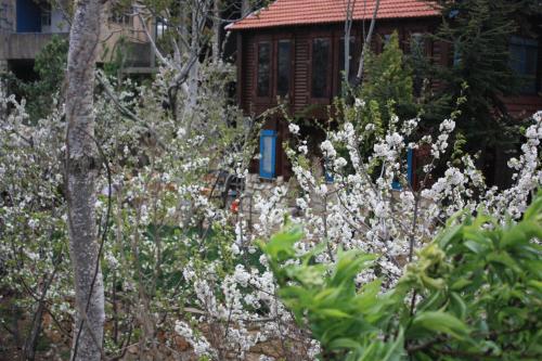 a garden with white flowers in front of a house at Zimer Al-Bayt in Mas'ade