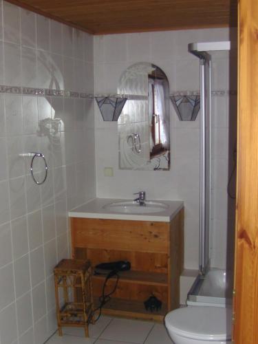 a bathroom with a sink and a toilet at Alte Schreinerei-Auberge Harlekin in Singen