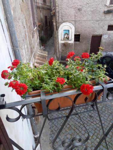 a table with red flowers on a balcony at Platea Oche in Sutri