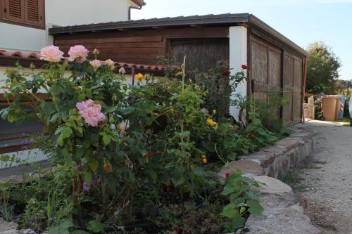 a garden with flowers in front of a building at Agriturismo Su Recreu in Ittiri