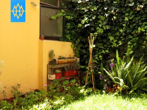 a garden with plants and a wall with a window at Altura Rooms & Suites in Quito