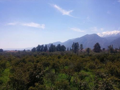 a view of a forest with mountains in the background at Taygetos in Sparti