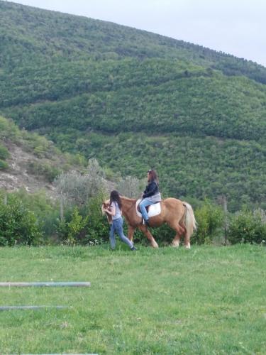 Gallery image of Agriturismo San Martino in Foligno