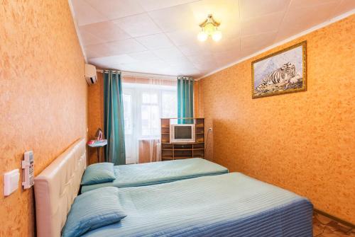 布祖盧克的住宿－Microrayon 2 Dom 8，一间卧室配有两张单人床和一台电视机
