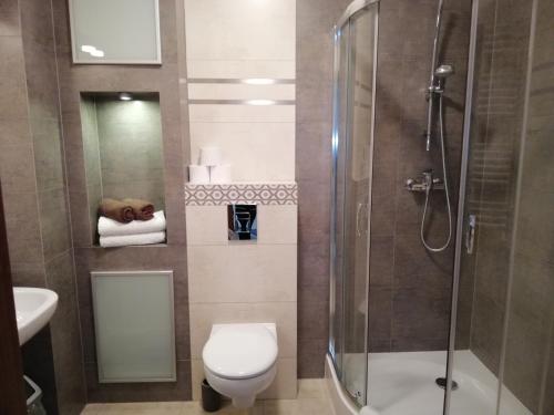 シュチェチンにあるSAS Apartamenty Vegaのバスルーム(トイレ、ガラス張りのシャワー付)