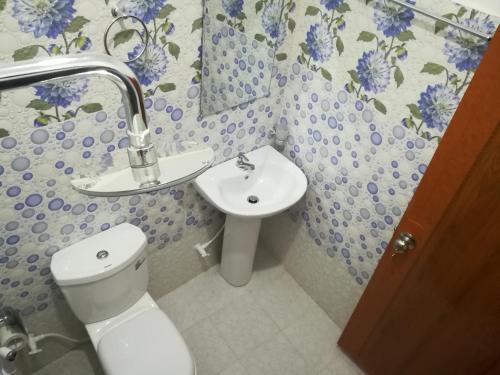 ein Badezimmer mit einem WC, einem Waschbecken und einem Spiegel in der Unterkunft The Peak Residence in Nallathanniya