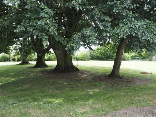 a group of trees in a field with a goal at Coolanowle Self Catering Holiday Accommodation in Carlow