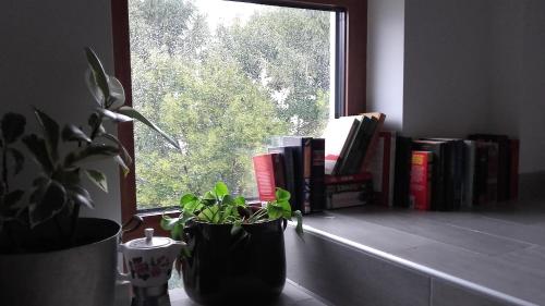 Un lugar para sentarse en B&B Books & Bikes