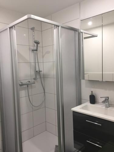 a bathroom with a shower and a sink at Apartment Ferienwohnung in Sulzbach