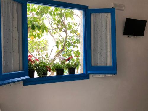 a blue window with potted plants in a room at La Casa del Limoneto in Favignana