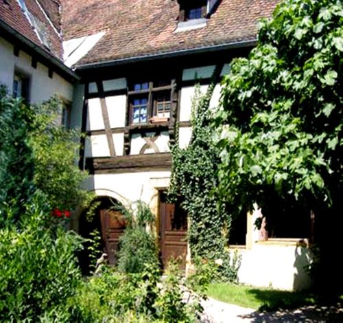 Zahrada ubytování La Grenouille