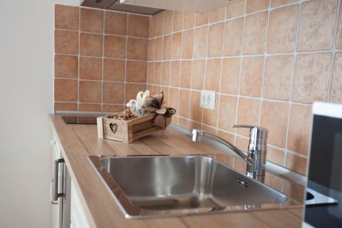 a kitchen counter with a sink and a box of mushrooms at Residence Mama in Rovinjsko Selo