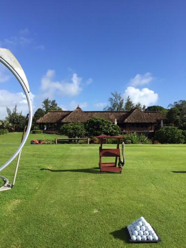 a playground with a swing and a pile of balls at Bubble Lodge Ile aux Cerfs Island in Ile aux Cerfs