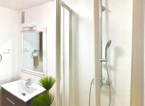 La salle de bains est pourvue d'une douche et d'un lavabo. dans l'établissement Centro Malaga, à Malaga