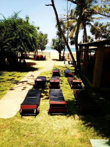a row of chaise lounges on the grass near the beach at Green Shadows Beach Hotel in Kalutara