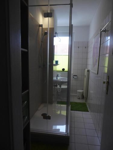 W łazience znajduje się szklana kabina prysznicowa i umywalka. w obiekcie LICHTenstein w mieście Lichtenstein