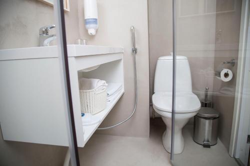 Koupelna v ubytování Finlandia Hotel Alba