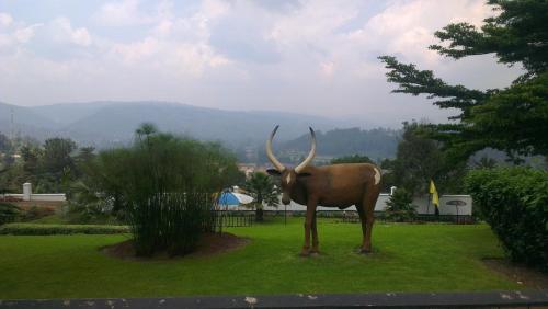 a statue of a bull with horns on the grass at Kigezi Gardens Inn in Kabale