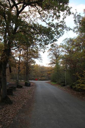 an empty road in a park with trees and leaves at Genieterke in Somme-Leuze