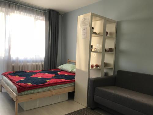 Lozhki的住宿－蝴蝶公寓，一间带床和沙发的小卧室