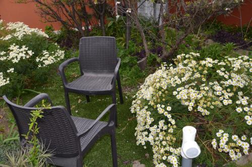 two black chairs sitting next to some white flowers at Rural Gomera in Arure