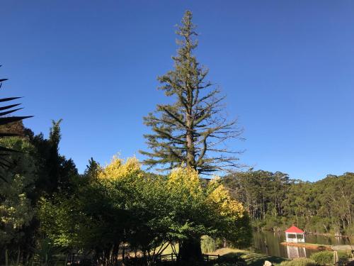Natuurlandschap vlak bij het resort