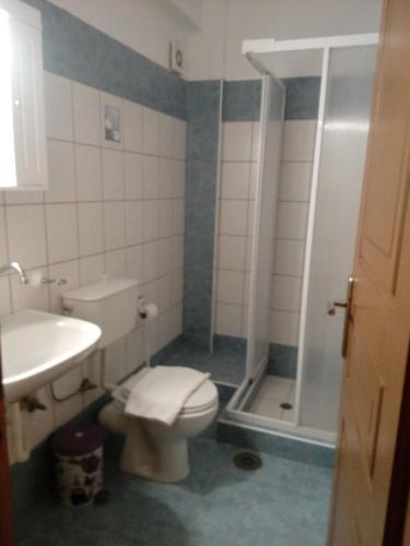 a bathroom with a toilet and a sink and a shower at Delfini in Akhladherí