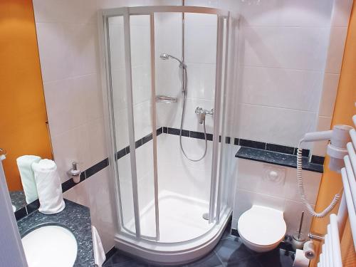 a bathroom with a shower and a toilet at Berggasthof Hotel Igelwirt in Schnaittach