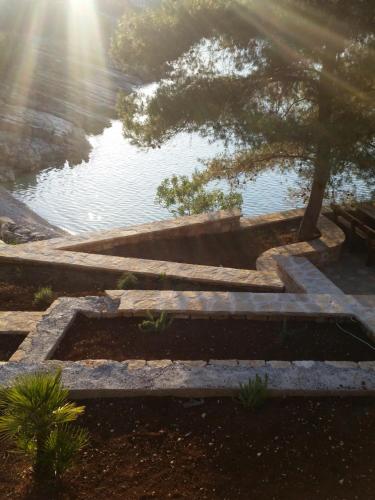 a garden with a body of water and a tree at Adriatic Queen in Gdinj