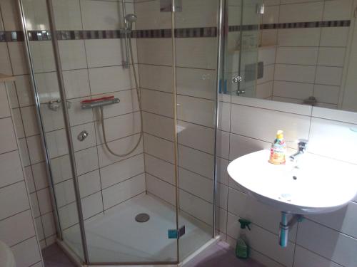 a bathroom with a shower and a sink at Teltow Ferienwohnung in Teltow